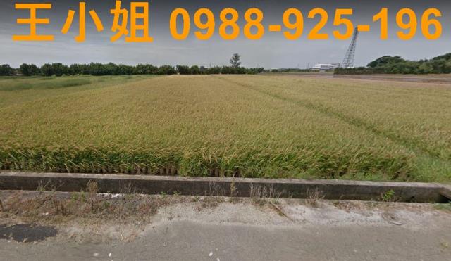 觀音嘉富路大面寬資材室農地觀音上大國小66快速道路農地觀音田