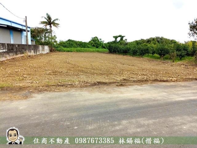 台南農地-1
