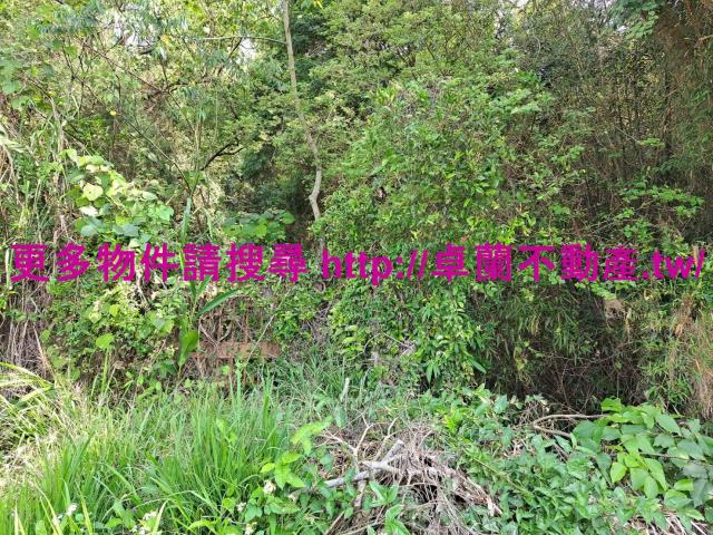 苗栗卓蘭農地-4