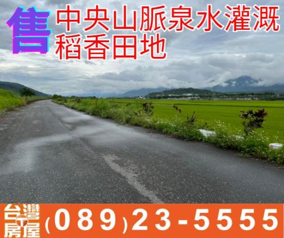 中央山脈泉水灌溉稻香