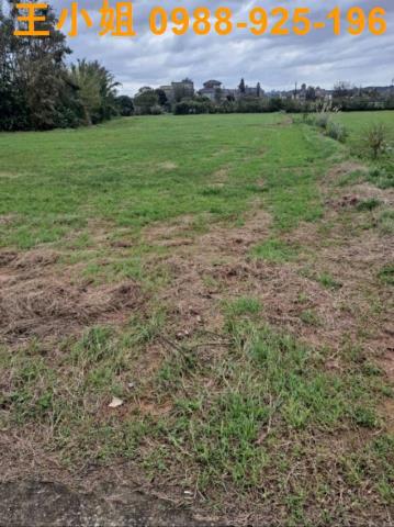 桃園中壢農地-1