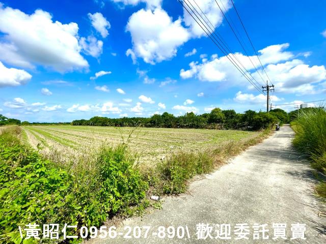 台南善化農地-0