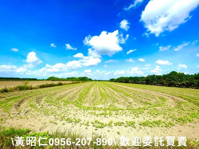 台南善化農地-1