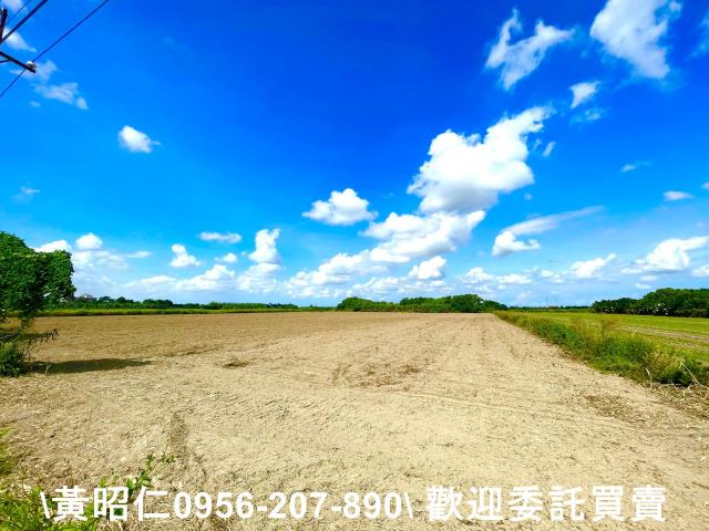台南善化農地-2