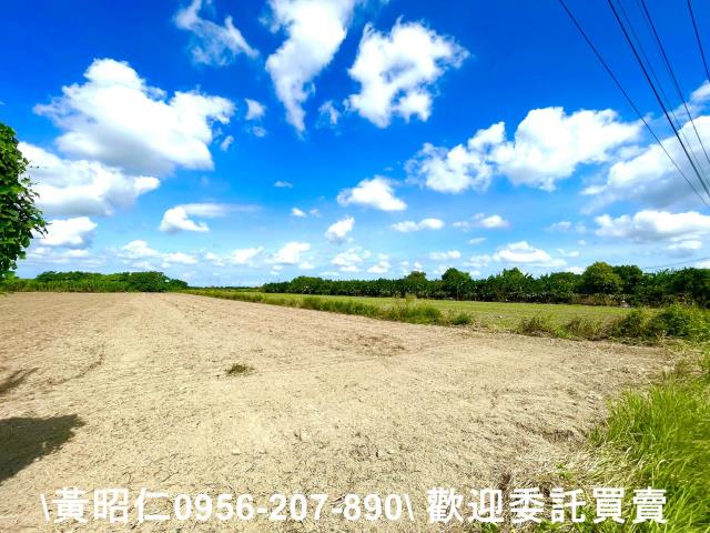 台南善化農地-3