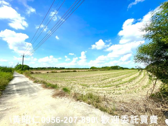 台南善化農地-4