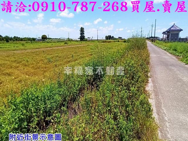 台南農地-6