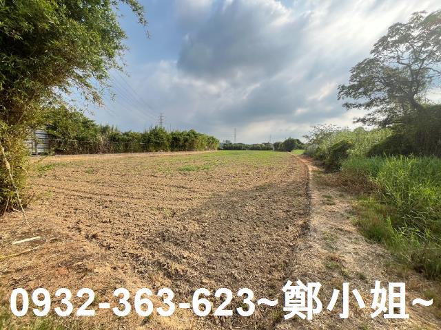 桃園新屋農地-8