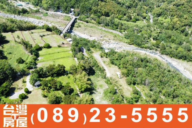 成功農地-6