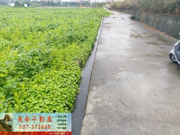 苗栗市農地-5