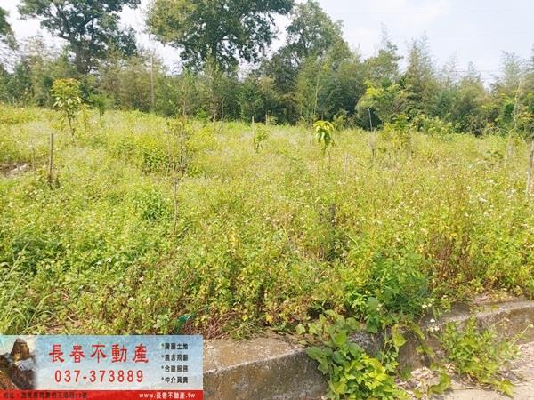 8F233大湖農牧用地