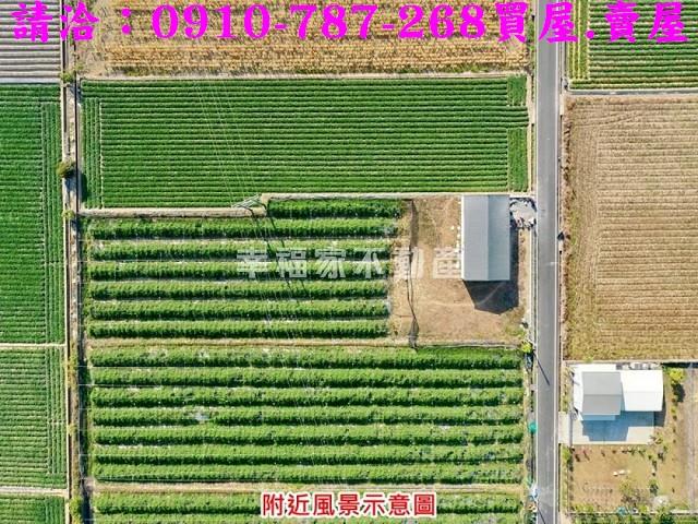 新市農地-3