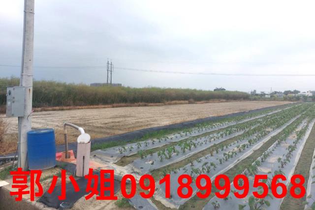台南農地-3