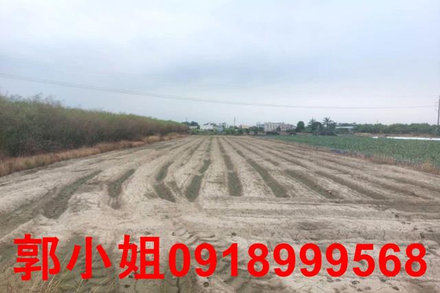 台南農地-5