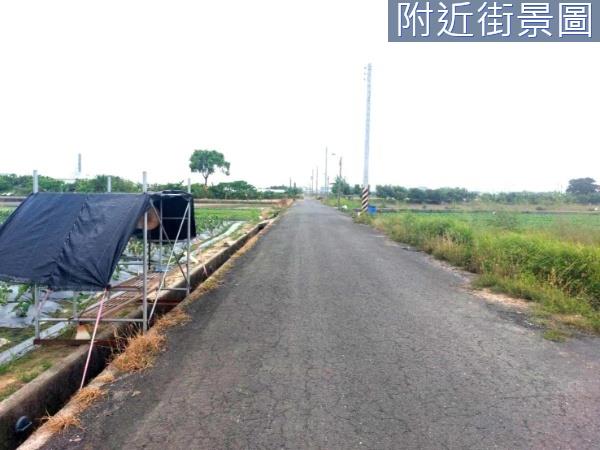 台南新市農地-2