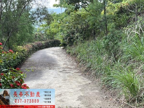 苗栗農地-7