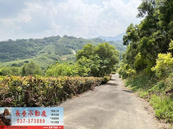苗栗農地-8