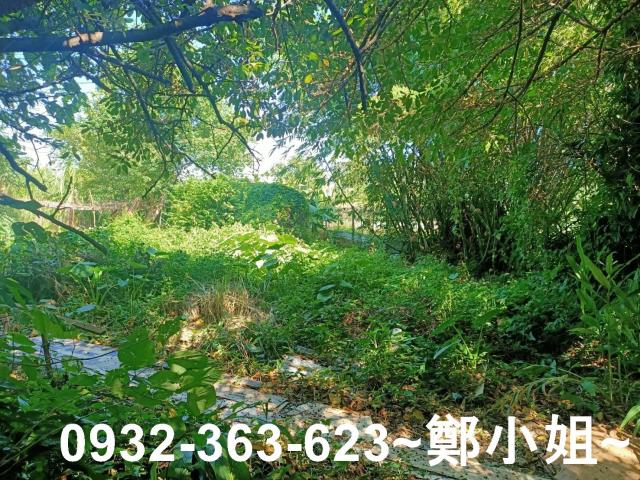 桃園桃園區農地-6