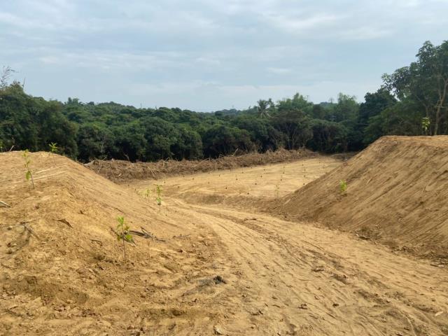 台南大內農地-4