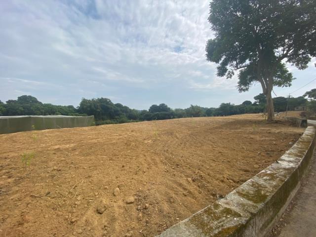 下營下營2分柚子園資材室住商姚語宸