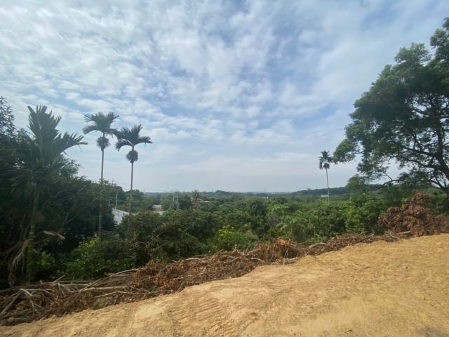 台南大內農地-3