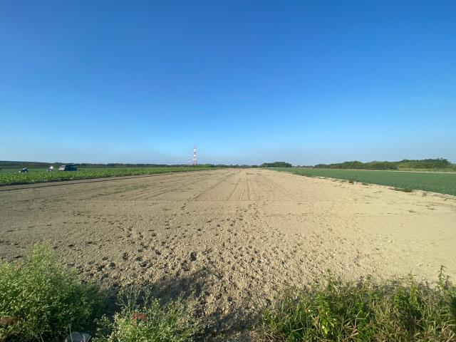 台南安南農地-4