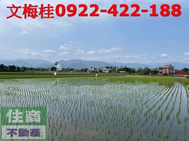 宜蘭三星農地-5