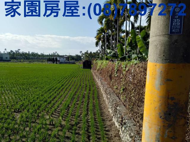 屏東潮州農地-1