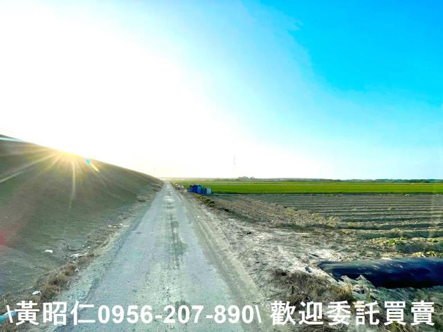 安南農地-9