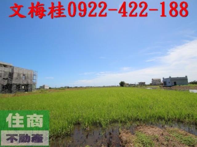 宜蘭縣礁溪鄉協民段農地出售