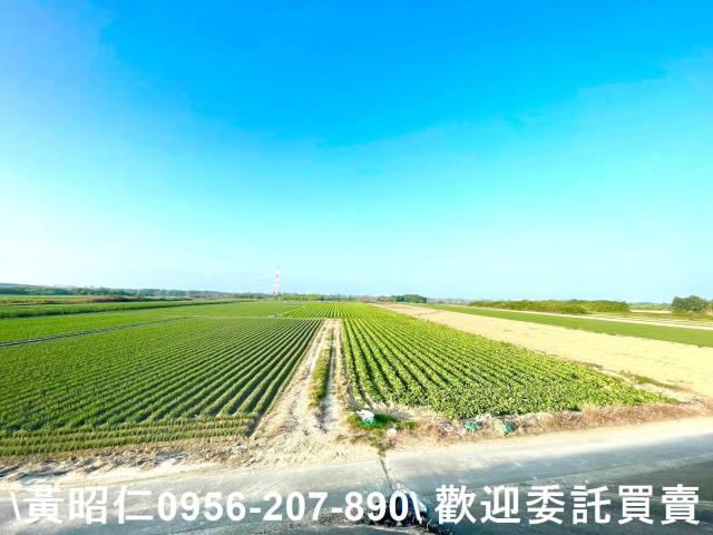 安南農地-2