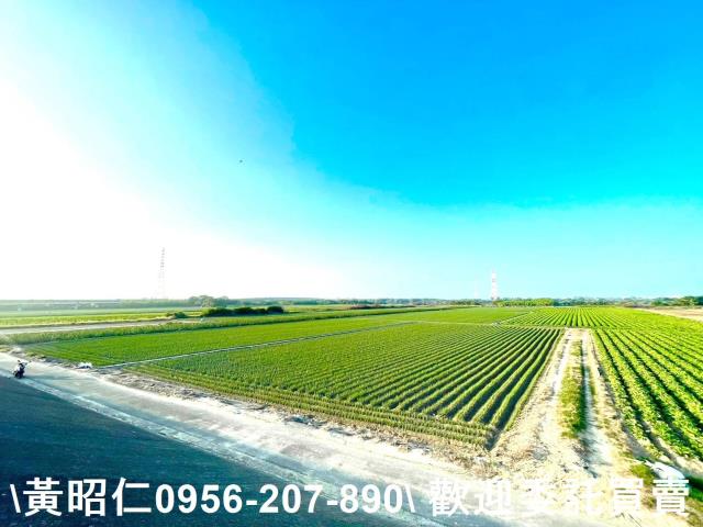安南農地-3