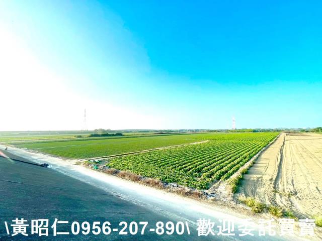 安南農地-4
