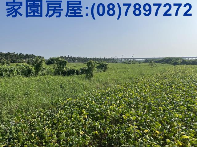 屏東萬丹農43建地