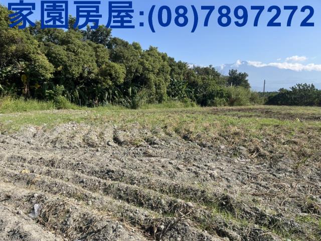 屏東高樹大路旁農地