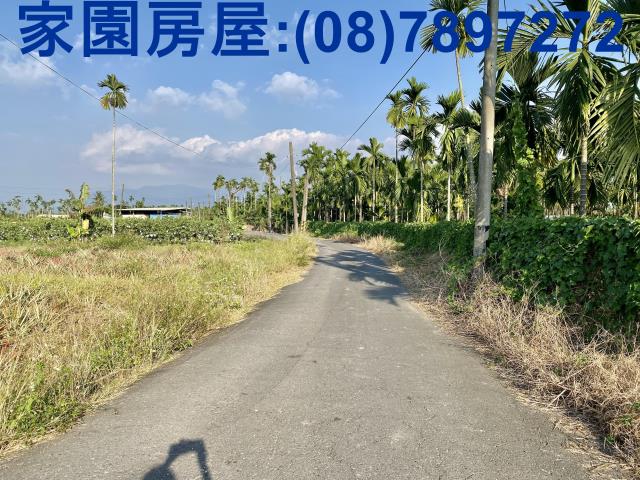 竹田火車站村庄旁農地