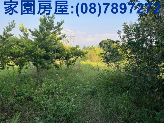 萬丹八八旁農地