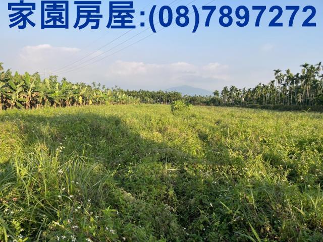 屏東潮州路邊農地