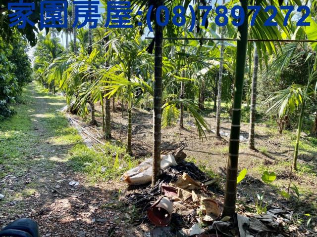 屏東廣福山嵐農村之美