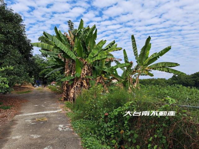 台南農地-7