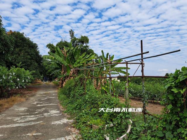 台南農地-8