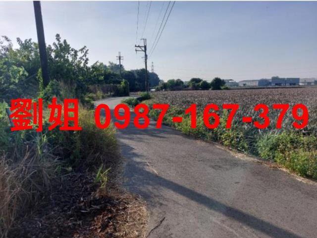 高雄大社農地-0