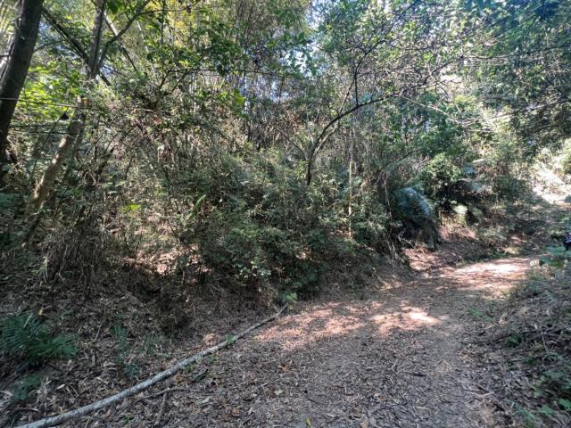 台南左鎮農地-0