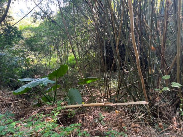 台南左鎮農地-7