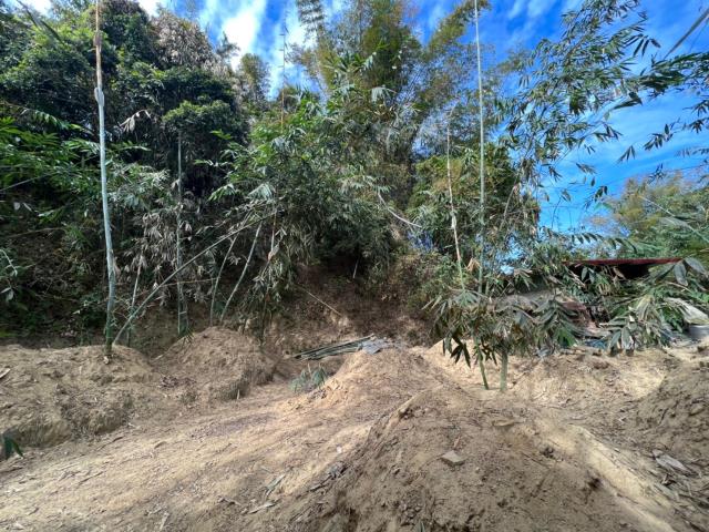 台南左鎮農地-1