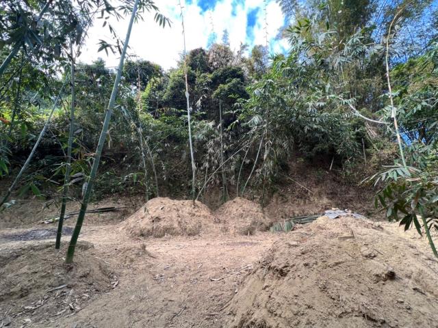 台南左鎮農地-2