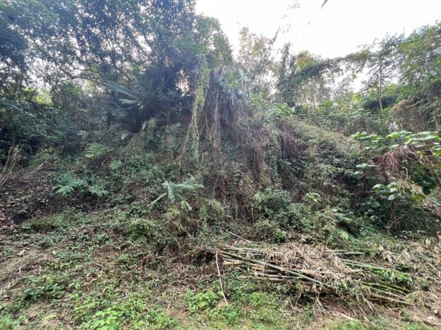 台南左鎮農地-6