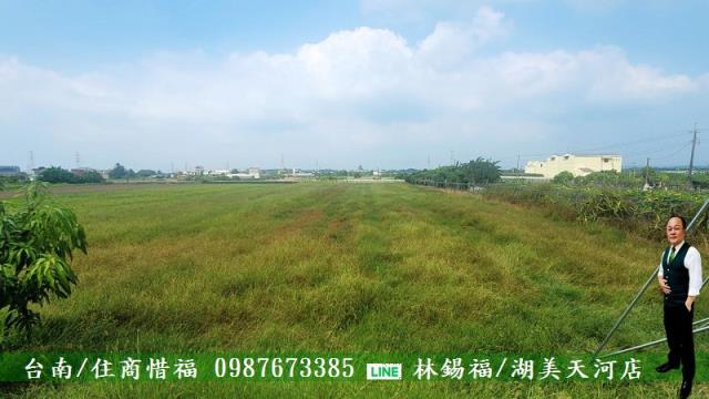 善化農地-8