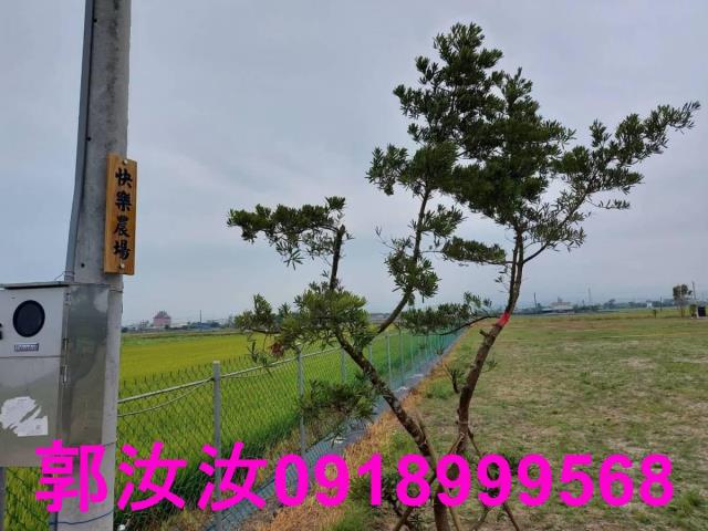 台南白河農地-13