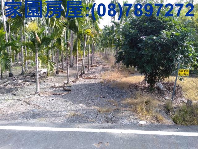 屏東新埤農地-1